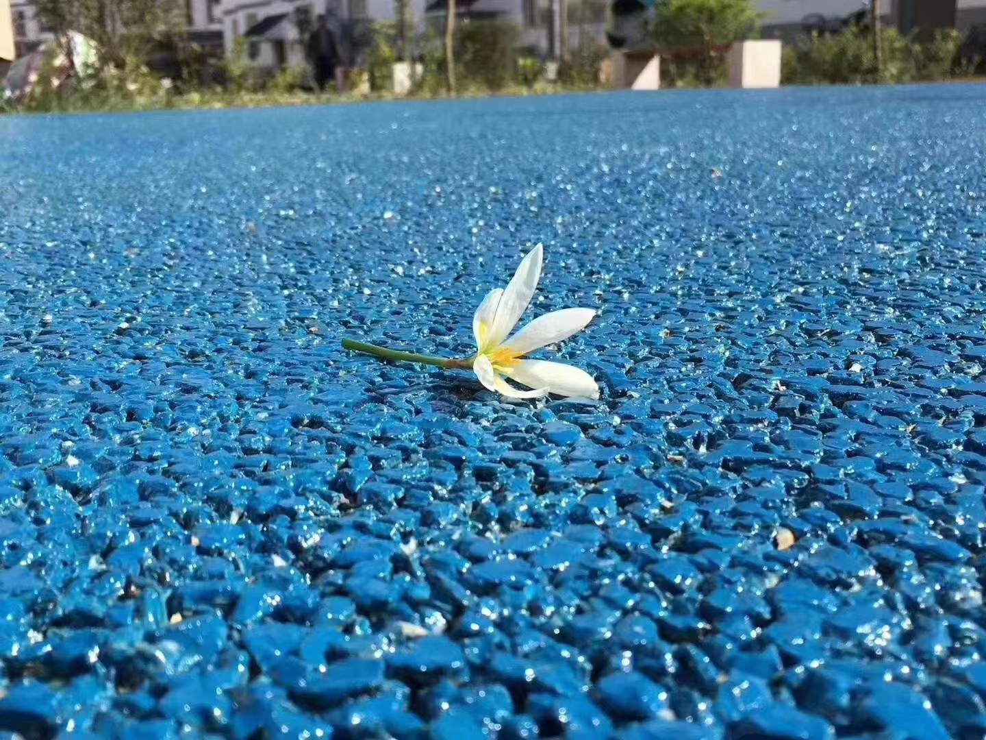 彩色透水地坪 (8).jpg