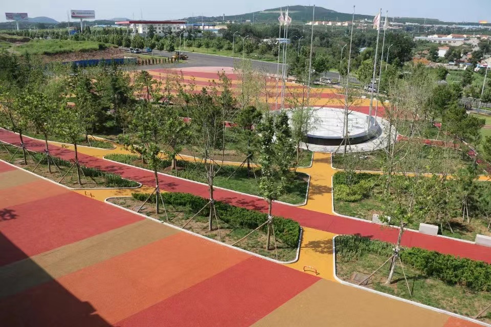 蓬萊新體育場.jpg